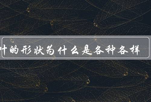 树叶的形状为什么是各种各样