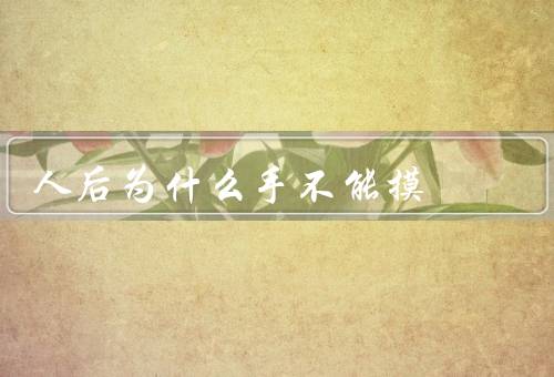 人后为什么手不能摸