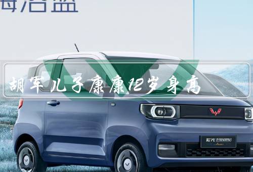 胡军儿子康康12岁身高