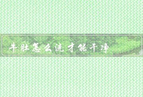 牛肚怎么洗才能干净