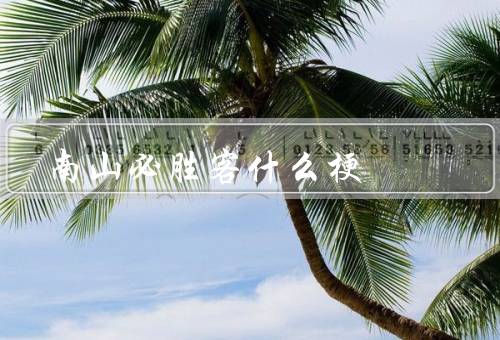 南山必胜客什么梗