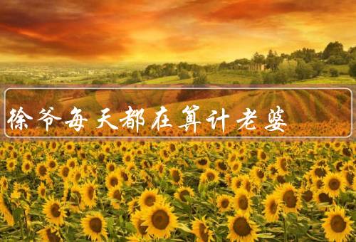 徐爷每天都在算计老婆
