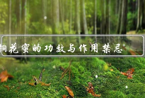 桐花蜜的功效与作用禁忌