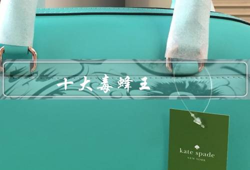 十大毒蜂王