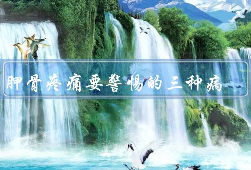 肩胛骨疼痛要警惕的三种病