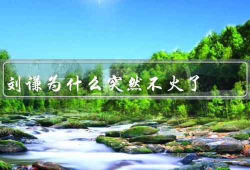 刘谦为什么突然不火了