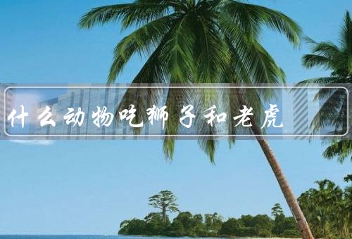 什么动物吃狮子和老虎