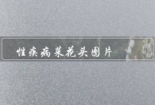 性疾病菜花头图片