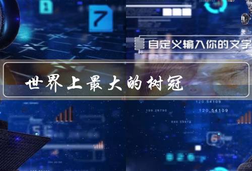 世界上最大的树冠