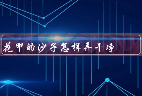 花甲的沙子怎样弄干净