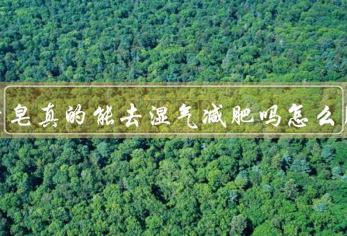 伏湿香皂真的能去湿气减肥吗怎么用