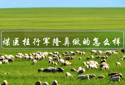 北京煤医桂行军隆鼻做的怎么样