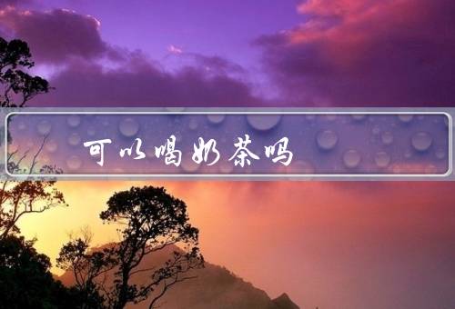 可以喝奶茶吗