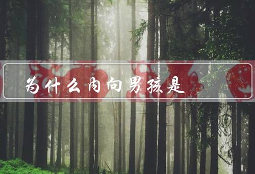 为什么内向男孩是