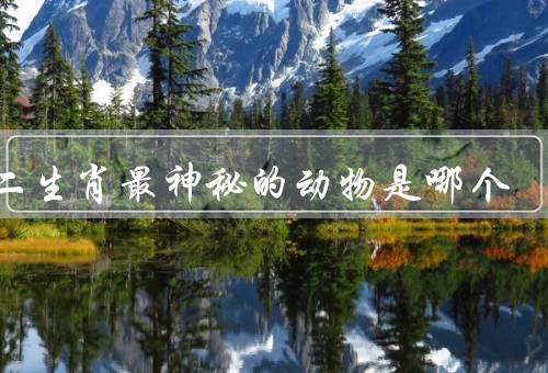 十二生肖最神秘的动物是哪个