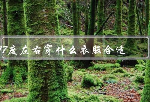 17度左右穿什么衣服合适