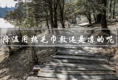 物理降温用热毛巾敷还是凉的呢