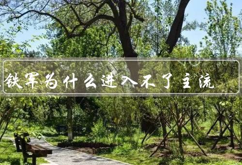 温铁军为什么进入不了主流