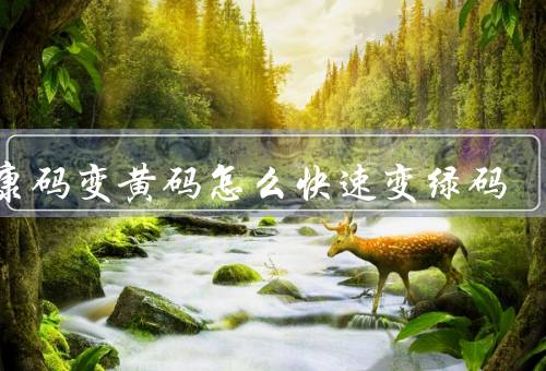 健康码变黄码怎么快速变绿码