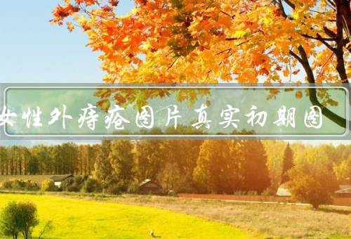 男女性外痔疮图片真实初期图