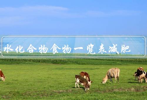 碳水化合物食物一览表减肥