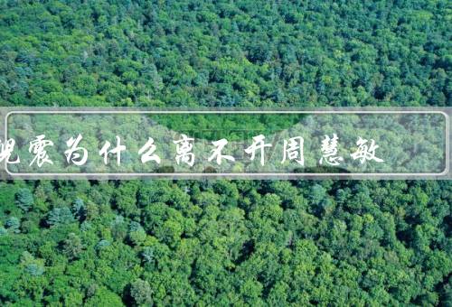 倪震为什么离不开周慧敏