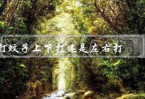 打蚊子上下打还是左右打