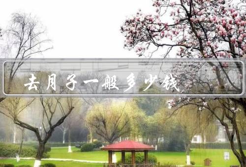 去月子一般多少钱