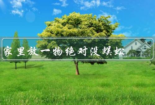 家里放一物绝对没蜈蚣