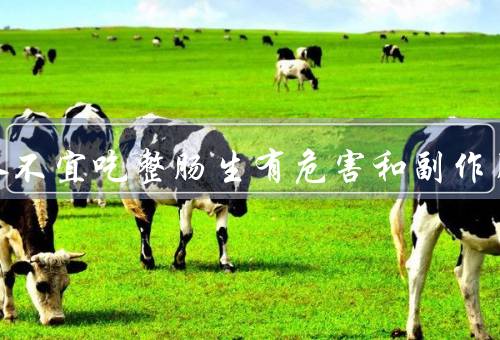 三种人不宜吃整肠生有危害和副作用
