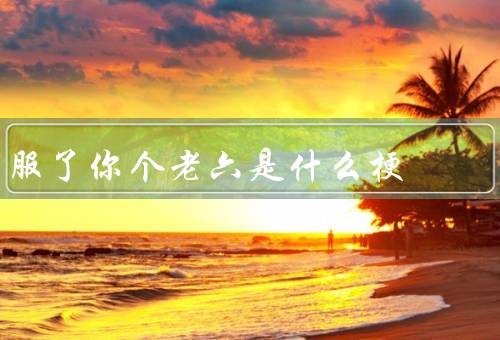 服了你个老六是什么梗