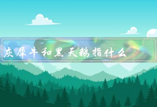 灰犀牛和黑天鹅指什么