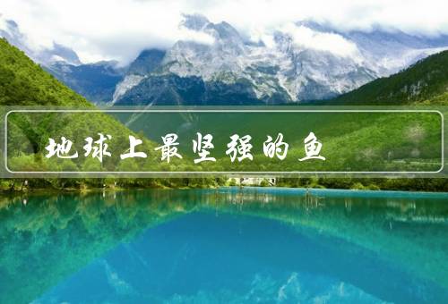地球上最坚强的鱼