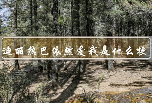 已买迪丽热巴依然爱我是什么梗
