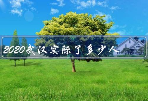 2020武汉实际了多少人，数字为准（不信谣）优质