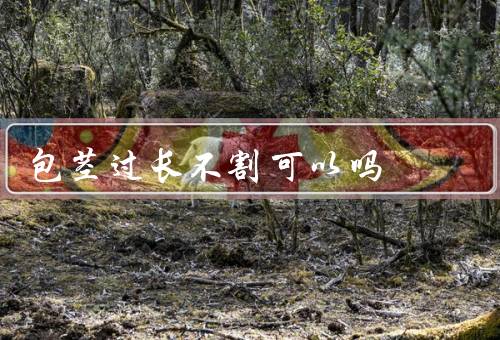 包茎过长不割可以吗