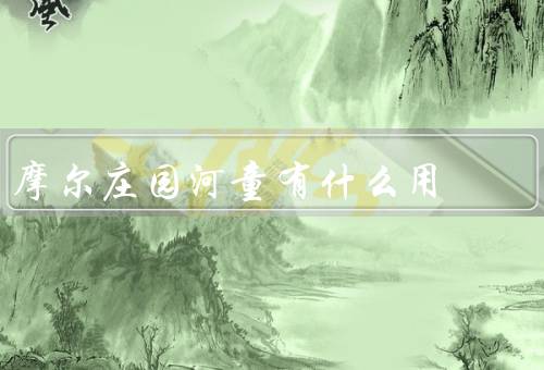 摩尔庄园河童有什么用