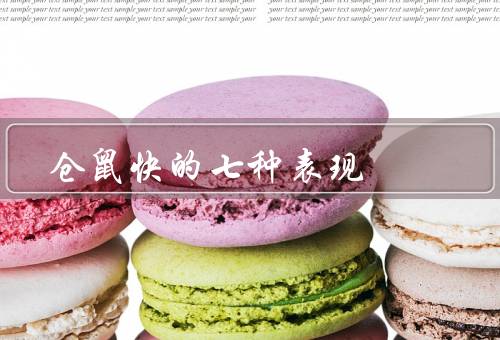 仓鼠快的七种表现