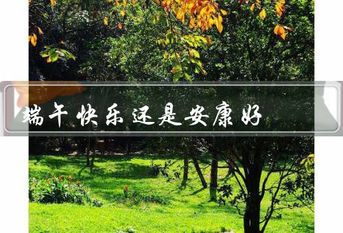 端午快乐还是安康好