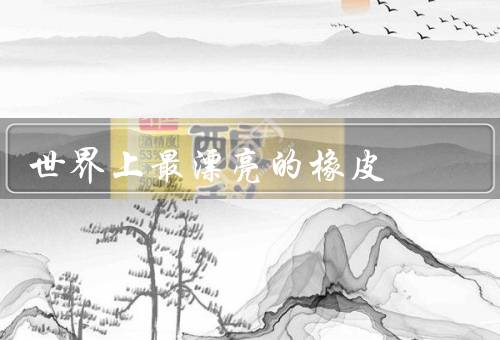世界上最漂亮的橡皮