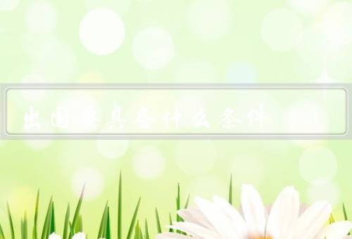 出国要具备什么条件