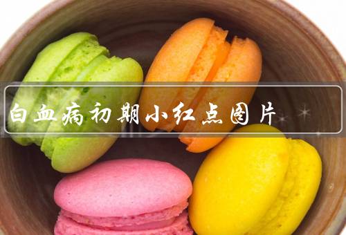 白血病初期小红点图片