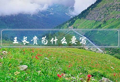 王长贵为什么要写