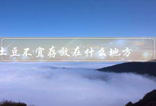 土豆不宜存放在什么地方
