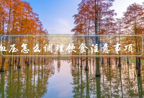 高血压怎么调理饮食注意事项