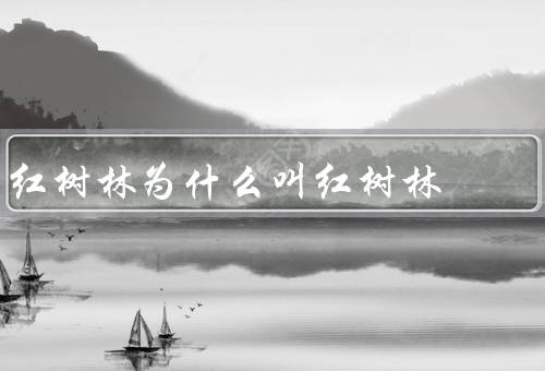 红树林为什么叫红树林
