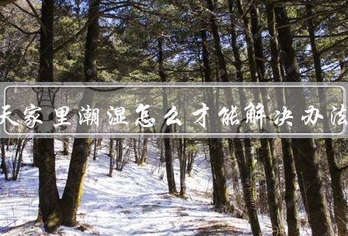 回南天家里潮湿怎么才能解决办法