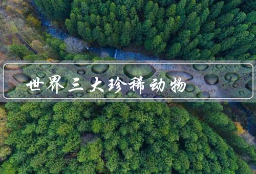 世界三大珍稀动物