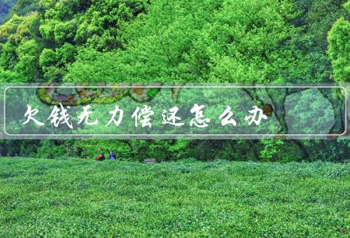 欠钱无力偿还怎么办