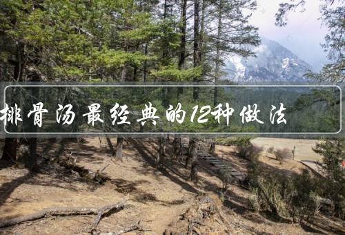 排骨汤最经典的12种做法
